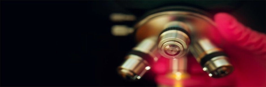 Research Bhoomi Secret's