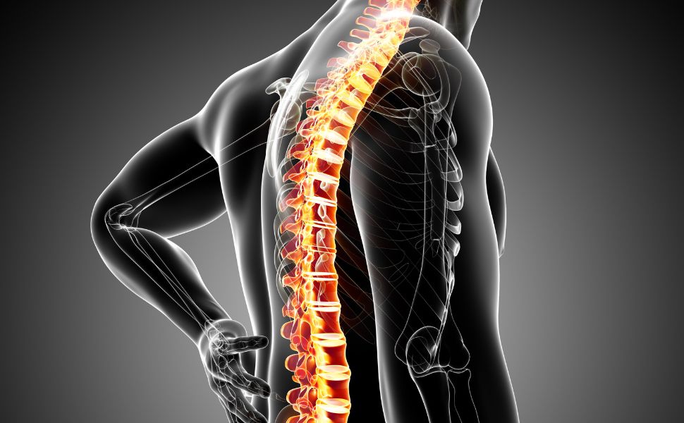 best ayurvedic oil for back pain