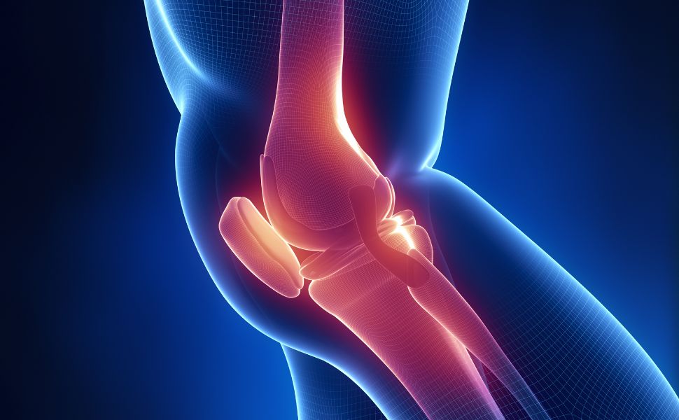 Best Oil For Knee Joint Pain