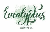 Eucalyptus